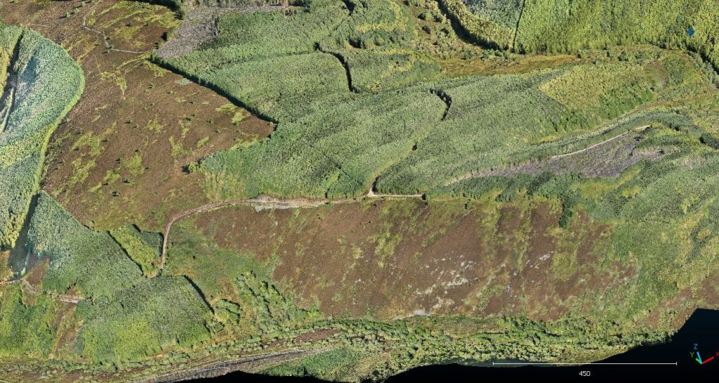 Drone LiDAR point cloud of moorland, forestry and existing tracks